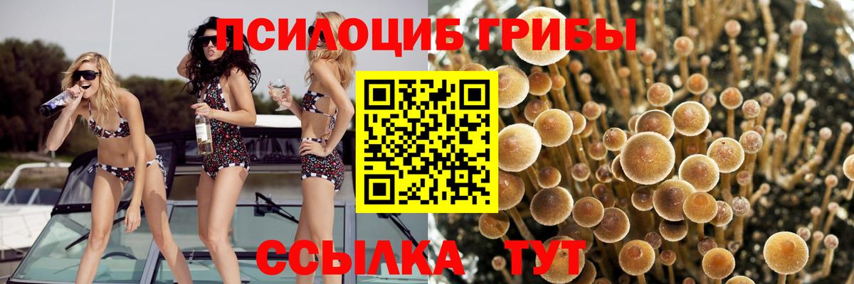 Галлюциногенные грибы Magic Shrooms  Вход с VPN  Брянск 